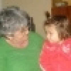 napraforgo470424 napraforgo470424