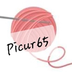 picur65 picur65