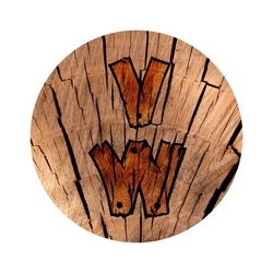 vektorwood vektorwood