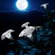 Moonflower793267