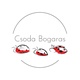 CsodaBogaras