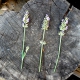 Lavenderhome