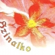 Szinalko
