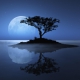 bluemoon
