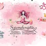Szivmelengeto