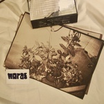 n0ras