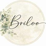 Briloo