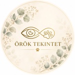OrokTekintet