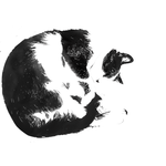 pawsandart