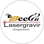 BeeCatGravir