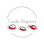 CsodaBogaras