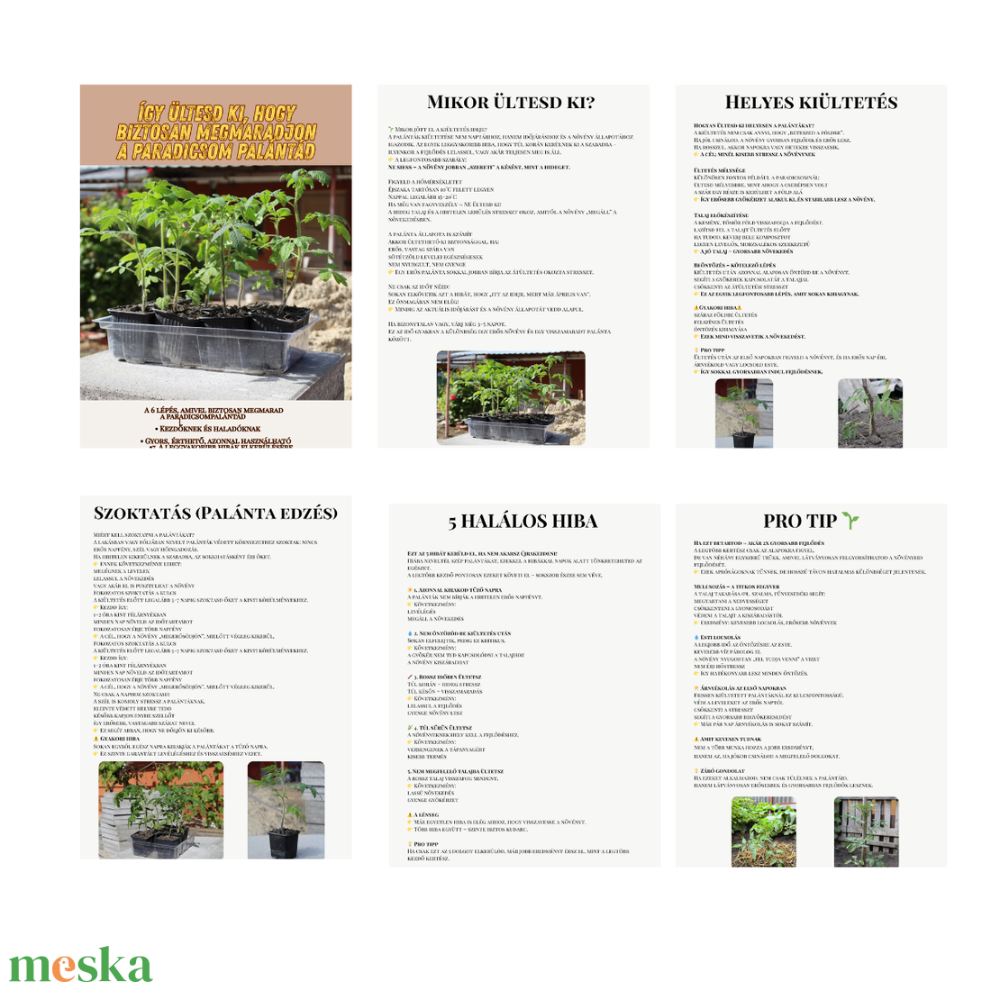 Palántázási túlélő lista � � Kiültetési útmutató kezdőknek (letölthető PDF) - otthon & életmód - ház & kert - növény & veteményes - Meska.hu