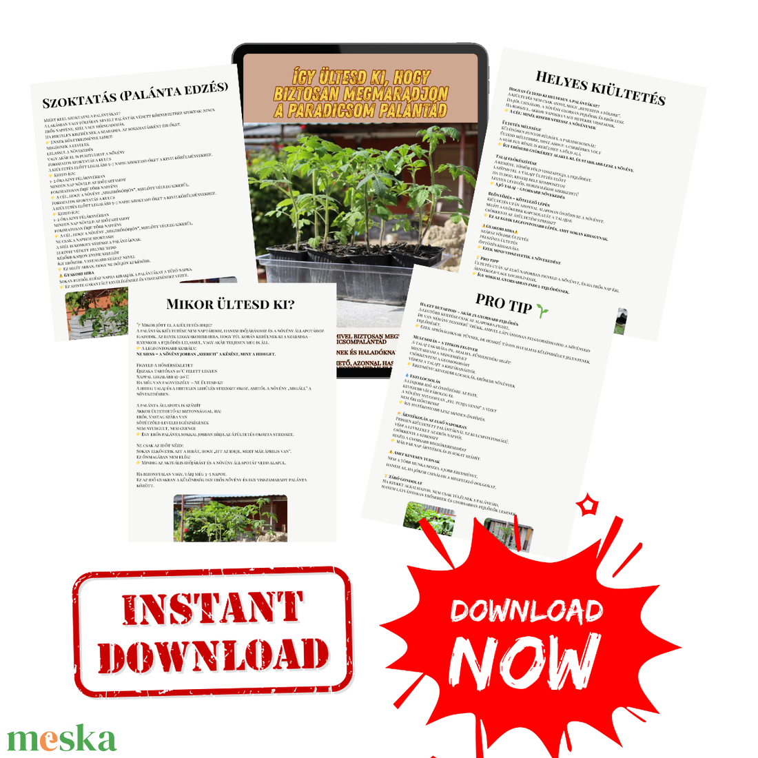 Palántázási túlélő lista � � Kiültetési útmutató kezdőknek (letölthető PDF) - otthon & életmód - ház & kert - növény & veteményes - Meska.hu
