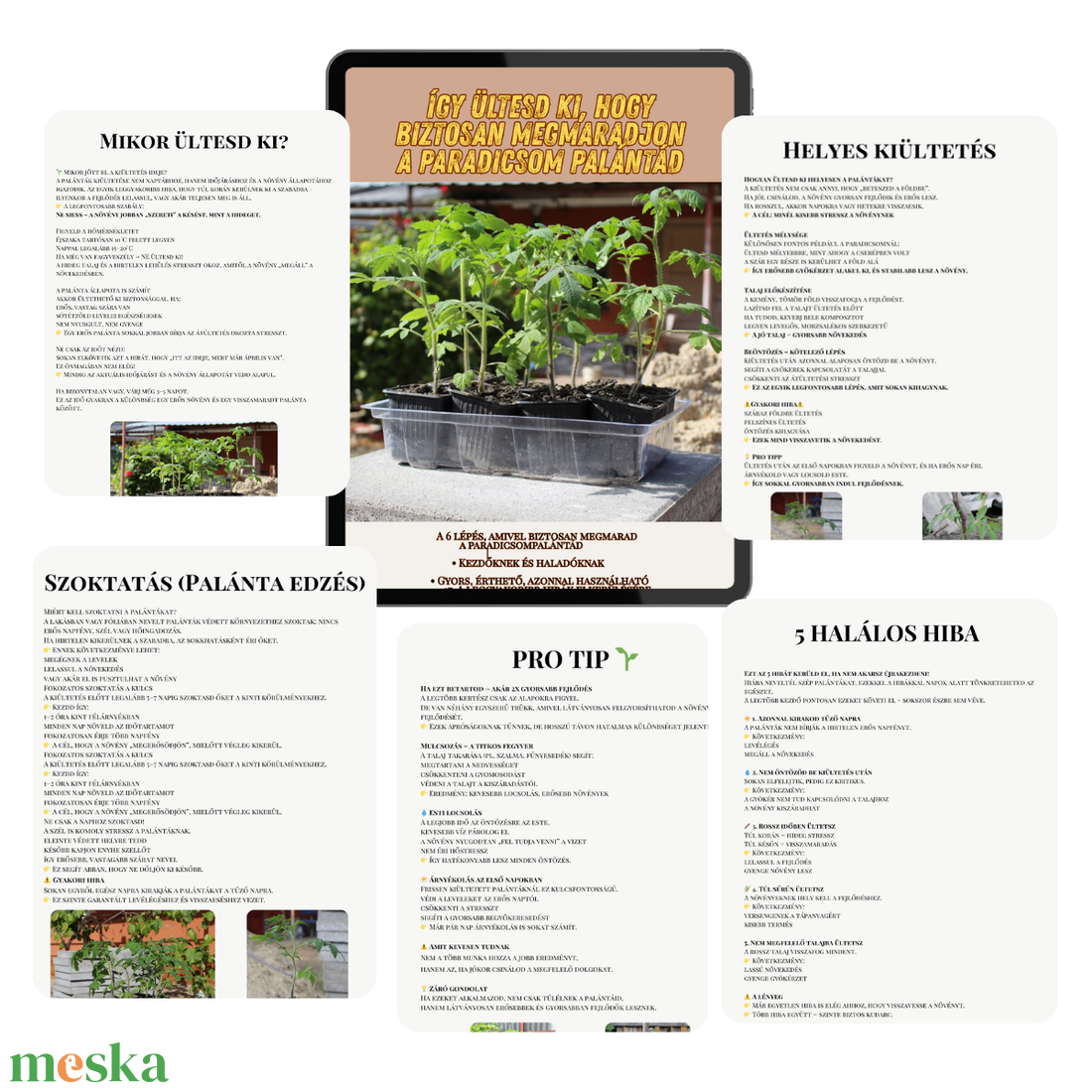 Palántázási túlélő lista � � Kiültetési útmutató kezdőknek (letölthető PDF) - otthon & életmód - ház & kert - növény & veteményes - Meska.hu