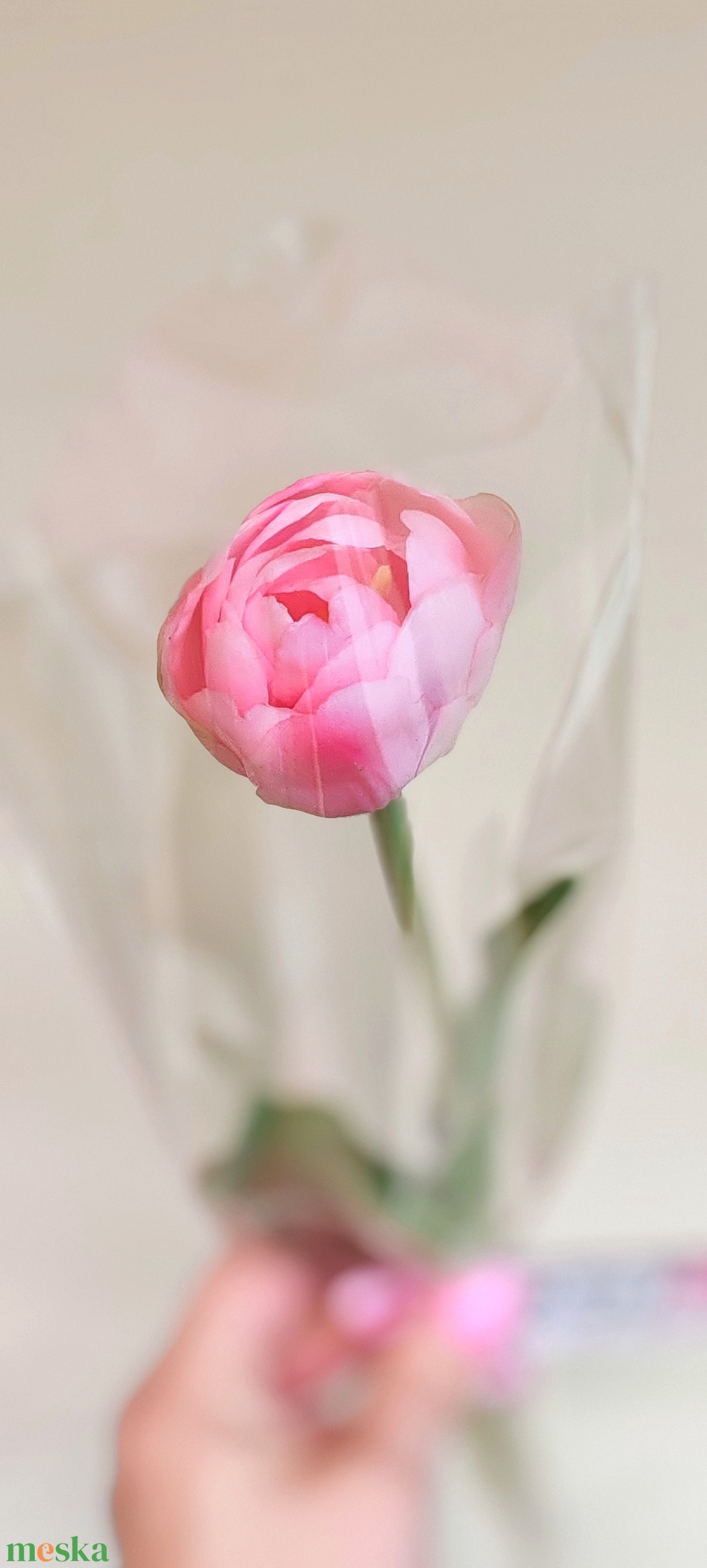 Szálas tulipán celofán csomagolásban  - otthon & életmód - virágdekoráció - virágok - szálas virág - Meska.hu