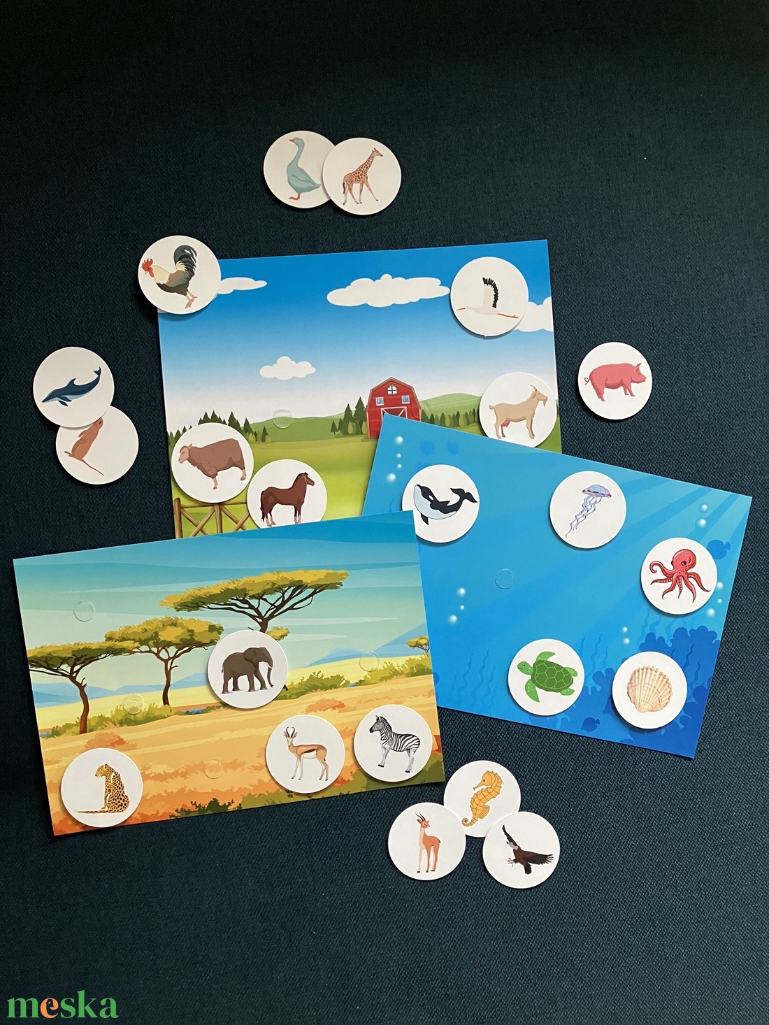 Foglalkoztató Lap - Ki hol él? - játék & sport - készségfejlesztő és logikai játék - oktató játékok - Meska.hu