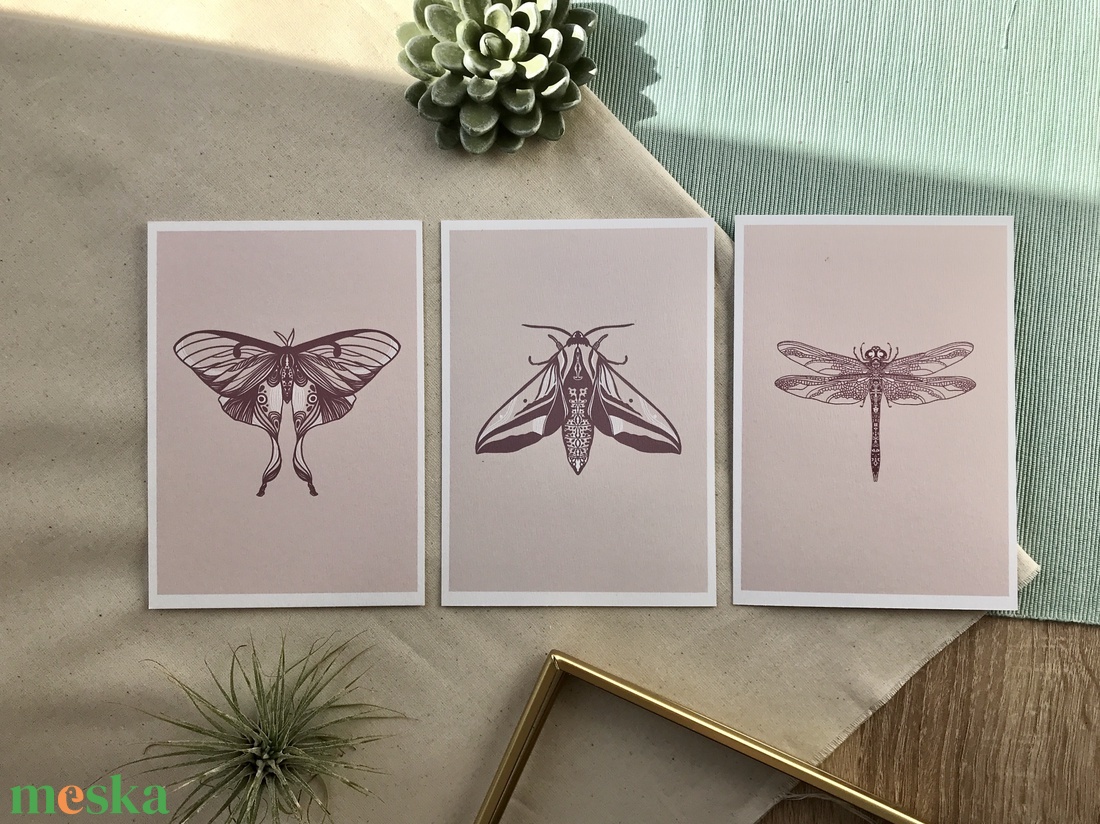 Szitakötő - Moly - Holdasszövő 3 db-os print - otthon & életmód - dekoráció - kép & falikép - több részes kép - Meska.hu Szitakötő - Moly - Holdasszövő 3 db-os print - otthon & életmód - dekoráció - kép & falikép - több részes kép - Meska.hu