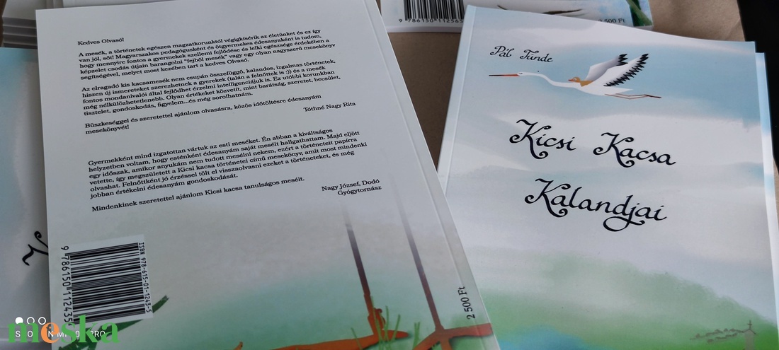 Kicsi Kacsa Kalandjai mesekönyv - könyv & zene - könyv - Meska.hu