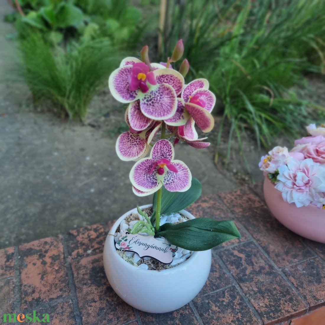 Anyáknapi orchidea kis kaspóban -  - Meska.hu