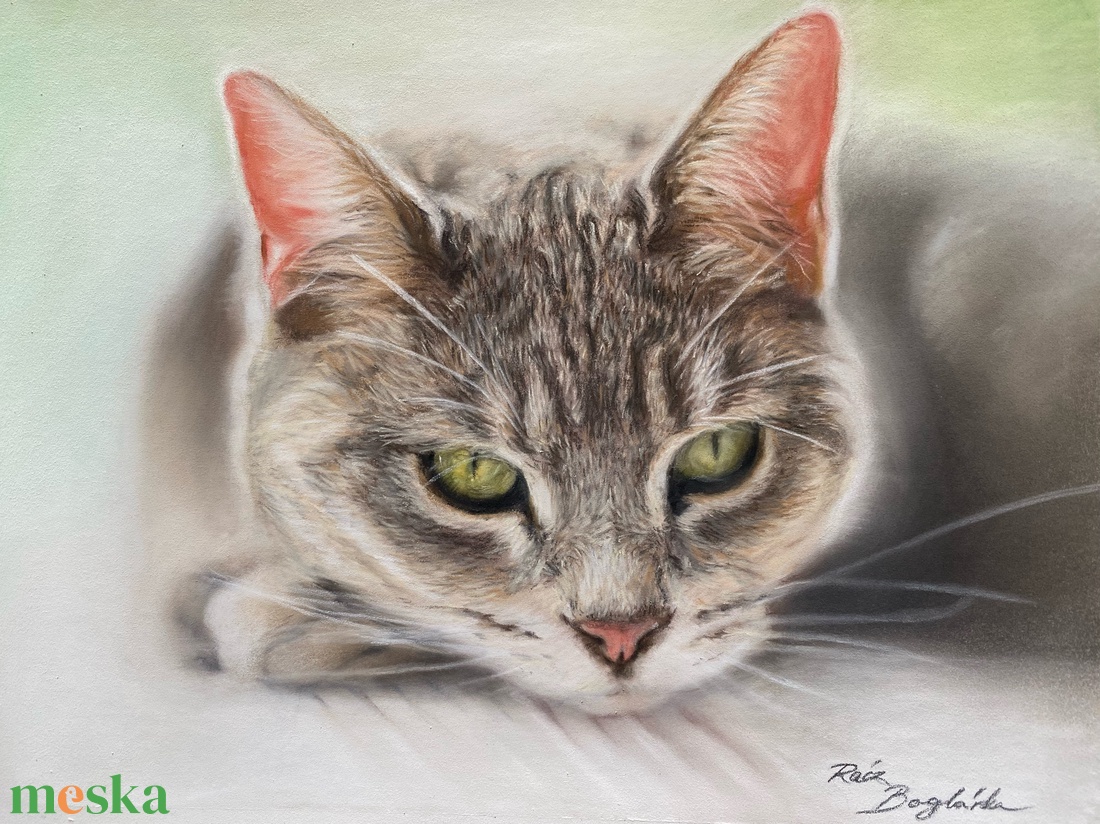 Állat portré fotóról - művészet - grafika & illusztráció - ceruzarajz - Meska.hu