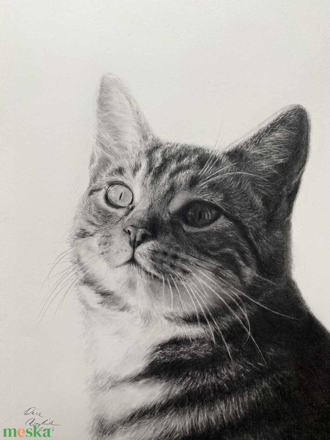 Grafit állat portré - művészet - grafika & illusztráció - ceruzarajz - Meska.hu