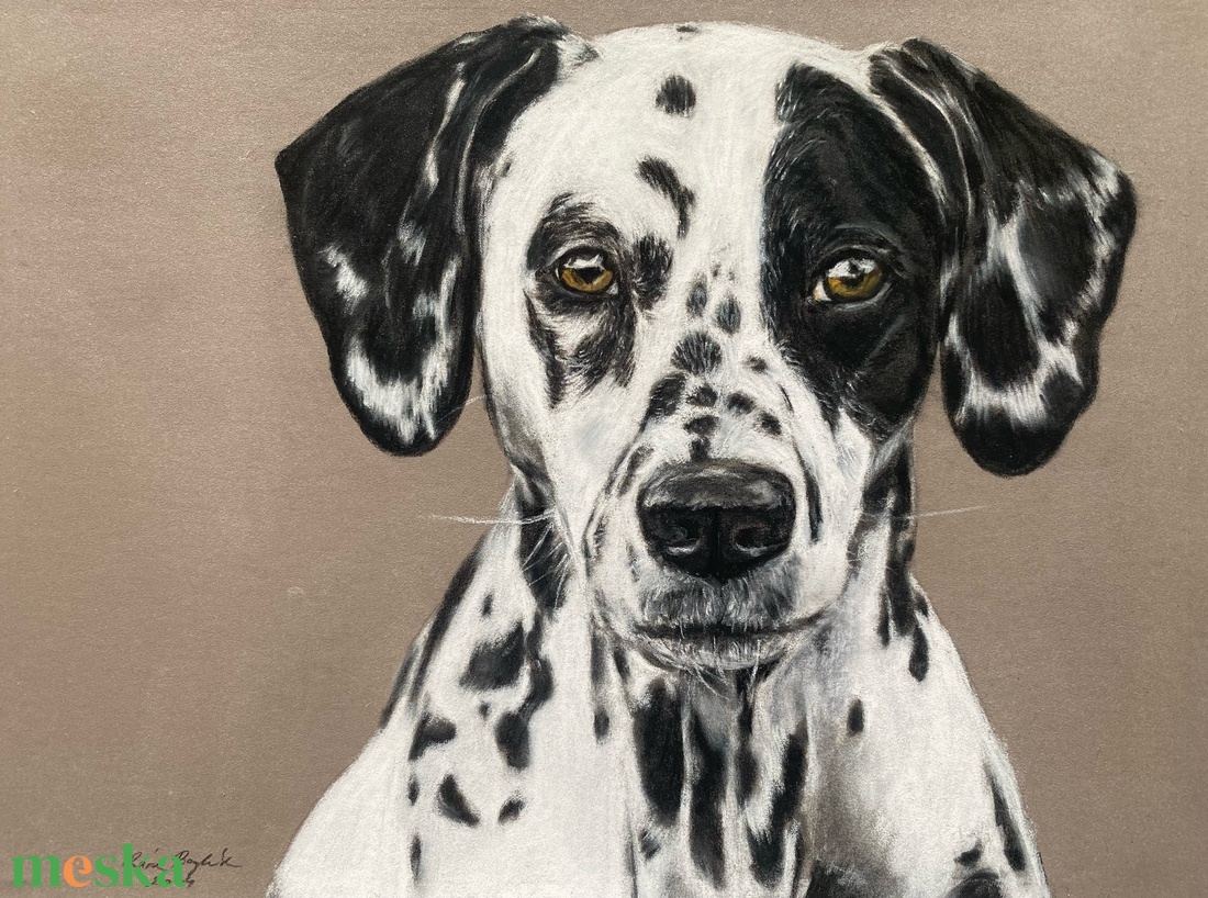 Állat portré fotóról - művészet - grafika & illusztráció - ceruzarajz - Meska.hu