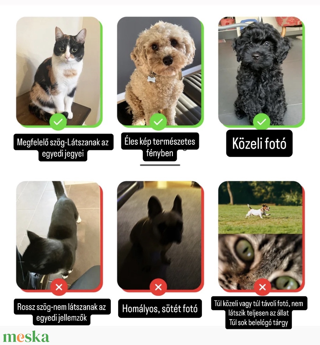 Egyedi kedvenc akvarell portré - művészet - festmény - akvarell - Meska.hu