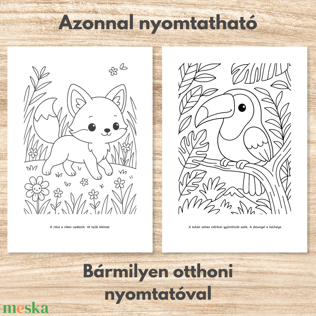 Színező gyerekeknek  Letölthető, azonnal nyomtatható  Állatok és természet (PDF, 20 oldal) - otthon & életmód - papír, írószer - színező - Meska.hu