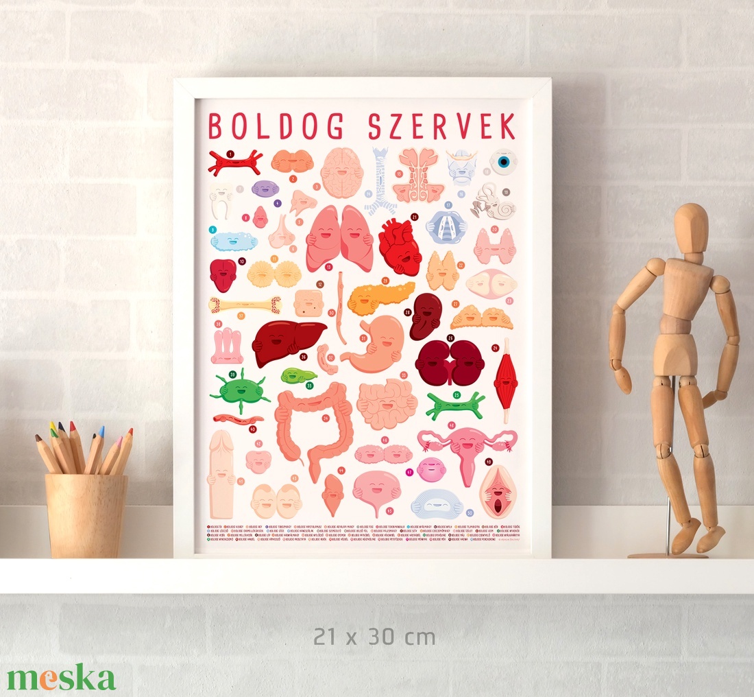 PLAKÁT A4/A3 - Boldog Szervek, 50 karakteres, keretezett / egészség, rendelőbe, otthonra - otthon & életmód - dekoráció - kép & falikép - plakát - Meska.hu