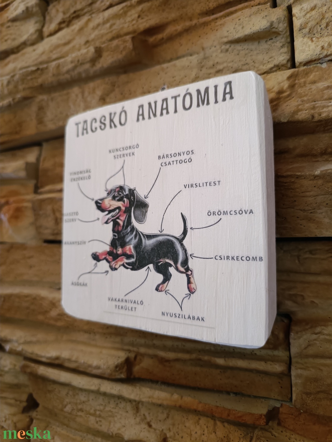 Tacskó anatómia vicces fatábla - otthon & életmód - dekoráció - fali és függő dekoráció - falra akasztható dekor - Meska.hu Tacskó anatómia vicces fatábla - otthon & életmód - dekoráció - fali és függő dekoráció - falra akasztható dekor - Meska.hu