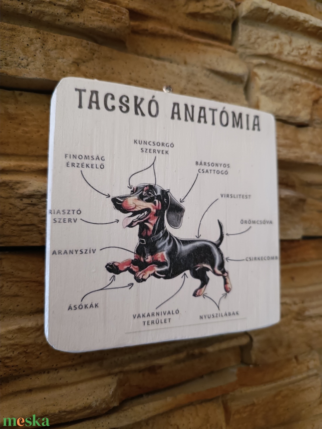 Tacskó anatómia vicces fatábla - otthon & életmód - dekoráció - fali és függő dekoráció - falra akasztható dekor - Meska.hu Tacskó anatómia vicces fatábla - otthon & életmód - dekoráció - fali és függő dekoráció - falra akasztható dekor - Meska.hu