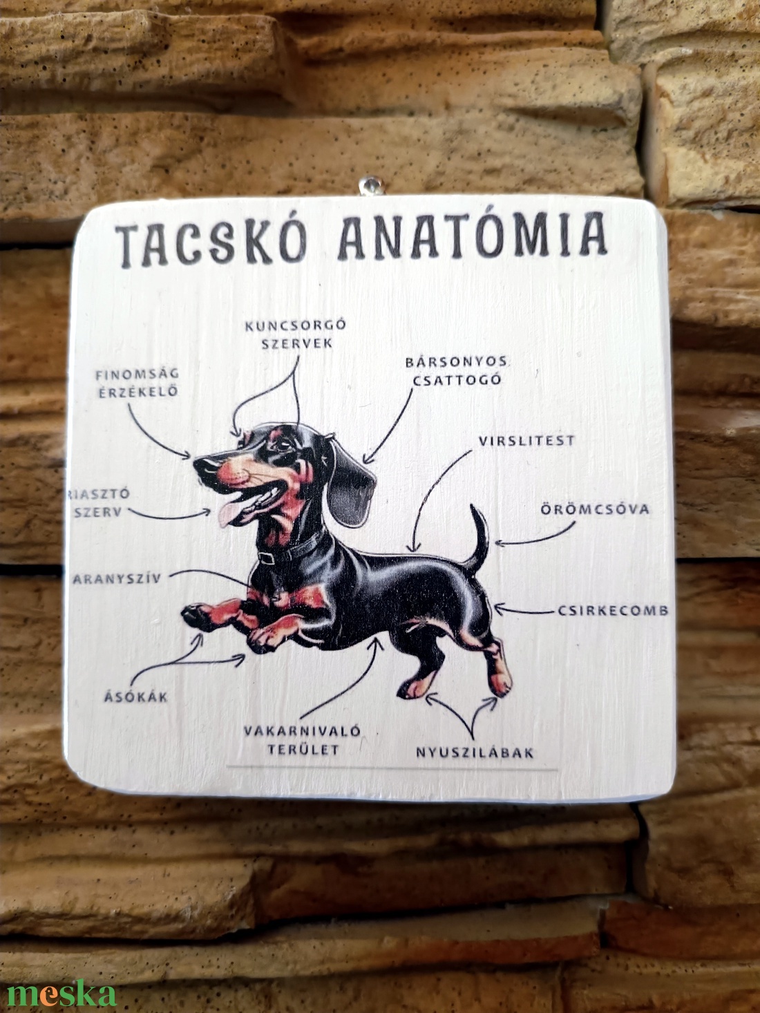 Tacskó anatómia vicces fatábla - otthon & életmód - dekoráció - fali és függő dekoráció - falra akasztható dekor - Meska.hu Tacskó anatómia vicces fatábla - otthon & életmód - dekoráció - fali és függő dekoráció - falra akasztható dekor - Meska.hu