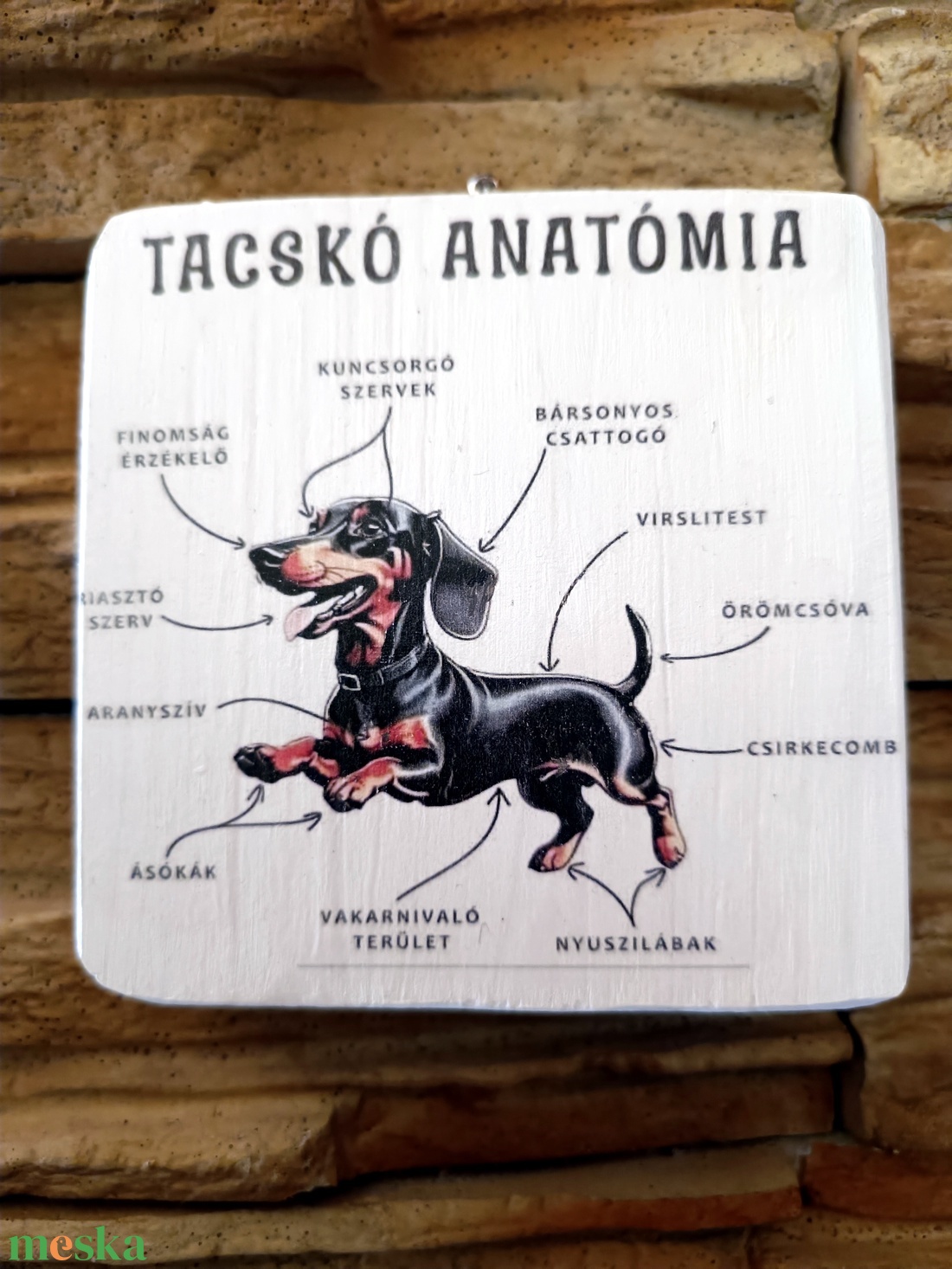 Tacskó anatómia vicces fatábla - otthon & életmód - dekoráció - fali és függő dekoráció - falra akasztható dekor - Meska.hu Tacskó anatómia vicces fatábla - otthon & életmód - dekoráció - fali és függő dekoráció - falra akasztható dekor - Meska.hu