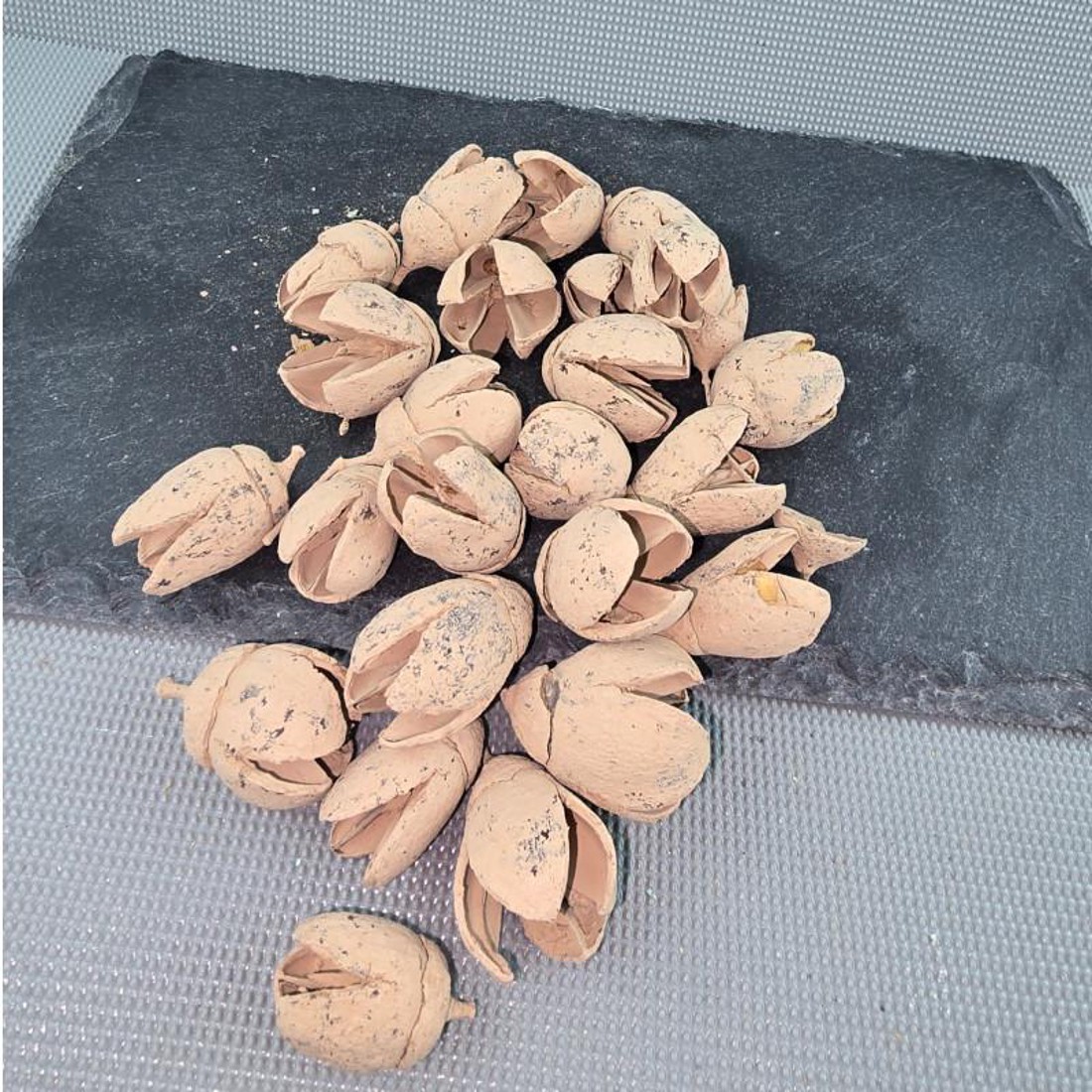 Új szÍn! bakuli - falfestékes cappuccino 5 dkg - kellékek & szerszámok - dekorációs kellékek - termések, terméscsomagok - Meska.hu