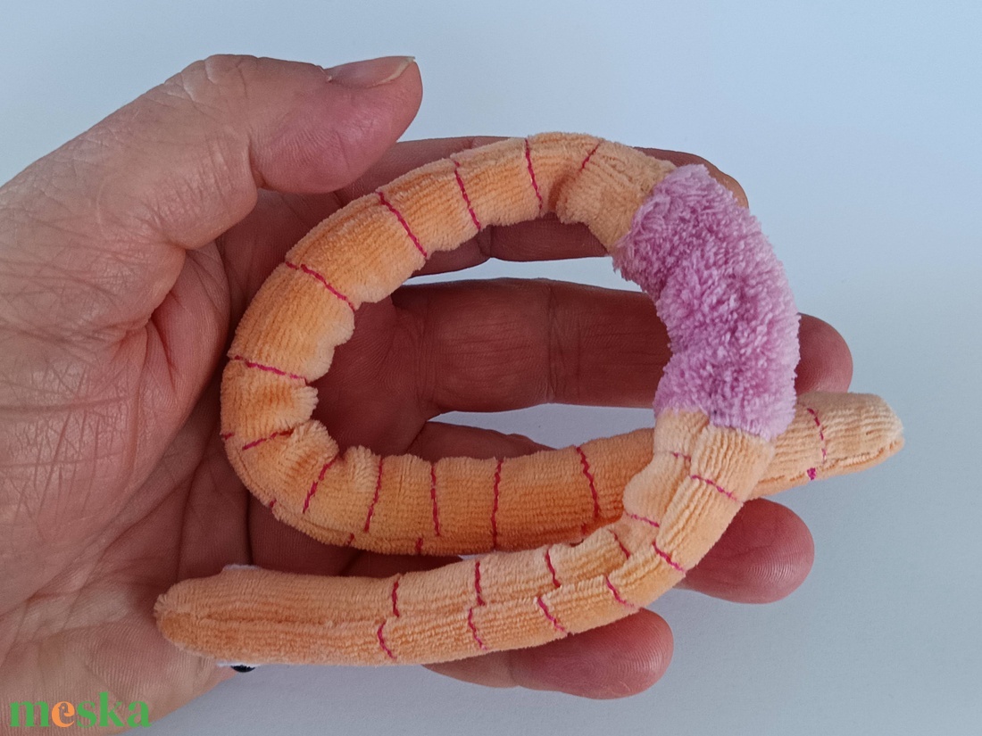 Életnagyságú Giliszta Babzsák, 35 centis Gusztustalan Gyűrűsféreg, Rendkívül Hasznos Talajlakó Kukac - játék & sport - plüssállat & játékfigura - más figura - Meska.hu