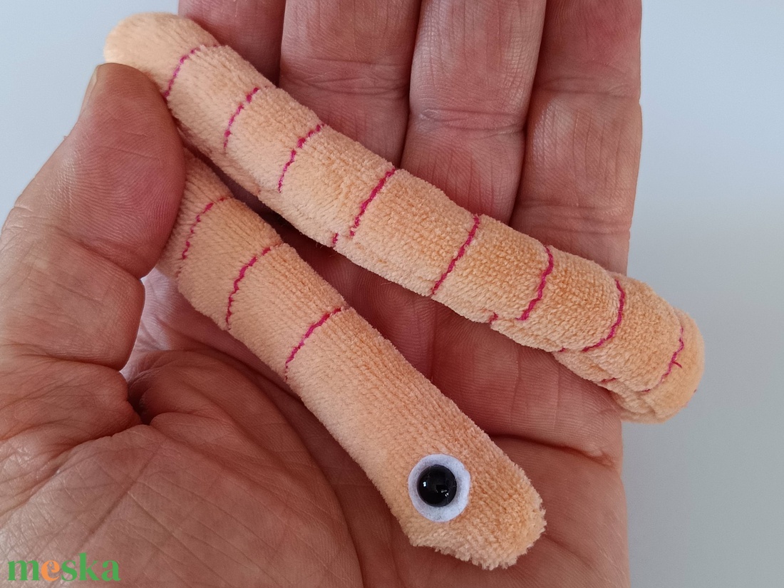 Életnagyságú Giliszta Babzsák, 35 centis Gusztustalan Gyűrűsféreg, Rendkívül Hasznos Talajlakó Kukac - játék & sport - plüssállat & játékfigura - más figura - Meska.hu