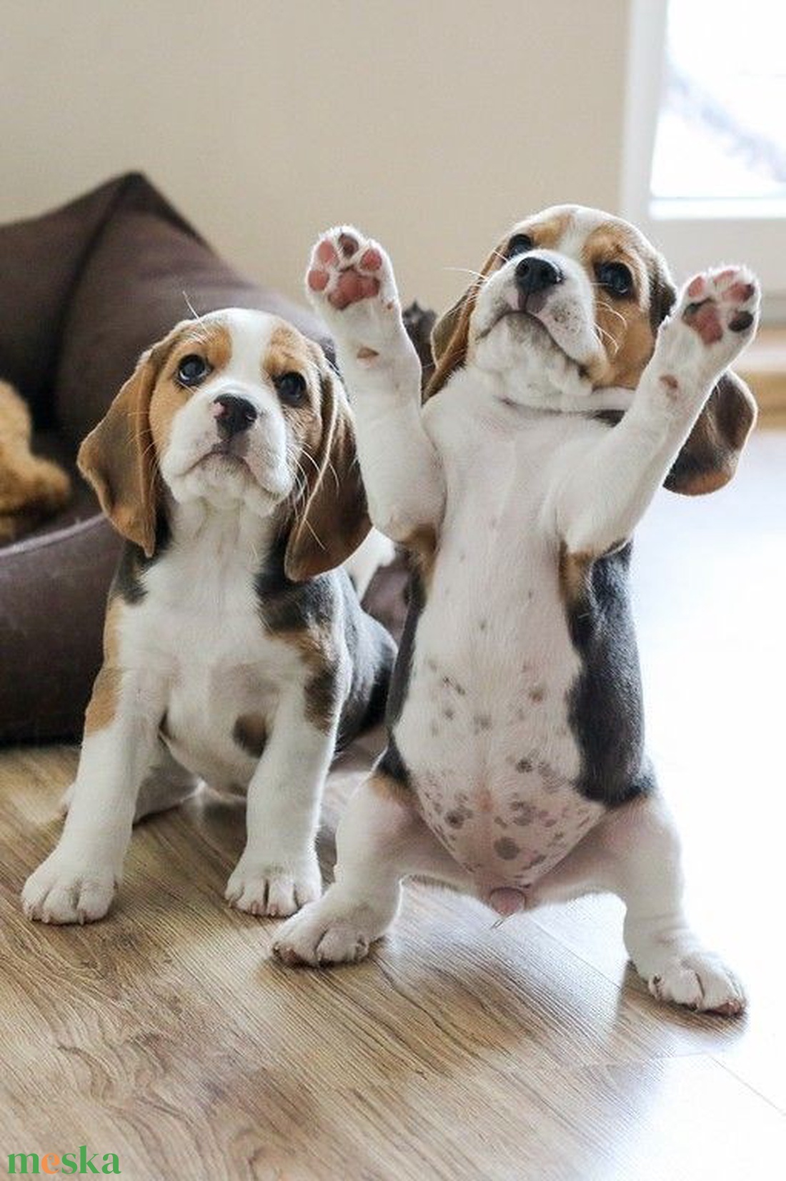 Tipegő Pizsama Extra - Beagle - ruha & divat - babaruha & gyerekruha - tipegőhálózsák - Meska.hu