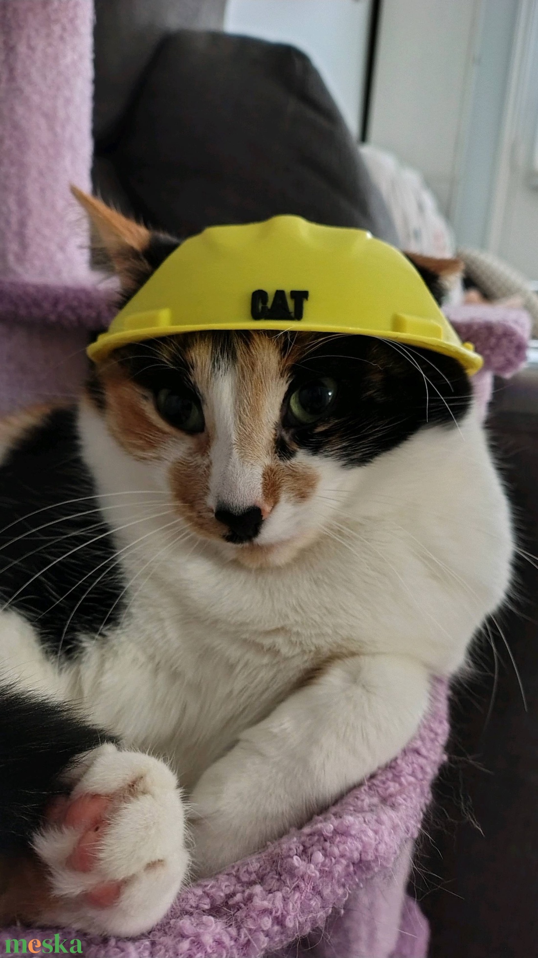 Cica Munkás-Sisak � Vicces Jelmez Fotózáshoz - otthon & életmód - kisállatoknak - cicáknak & macskáknak - Meska.hu