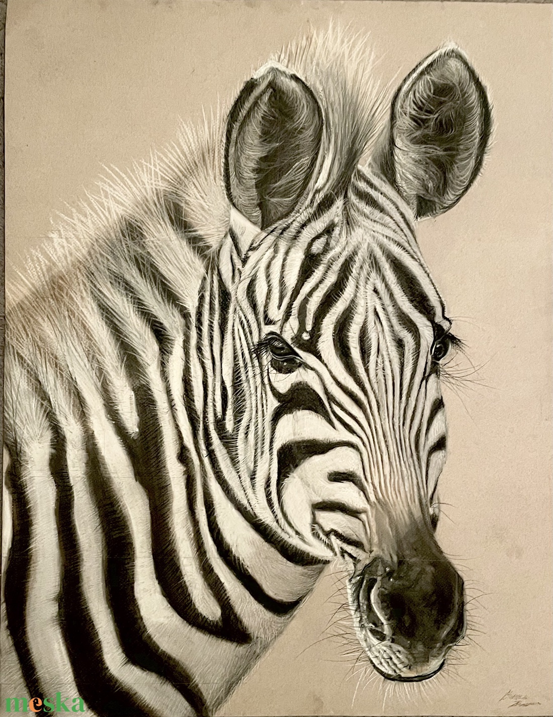 Rendelésre rajz / Zebra - művészet - grafika & illusztráció - egyéb rajzok - Meska.hu Rendelésre rajz / Zebra - művészet - grafika & illusztráció - egyéb rajzok - Meska.hu
