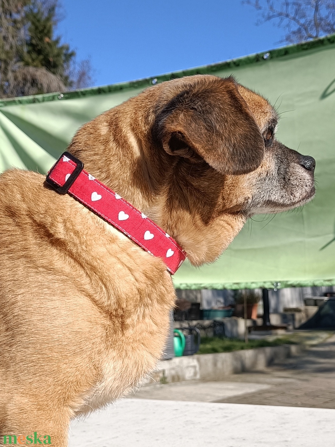 Kézzel készített mintás kutyanyakörv kistestű és kölyök kutyáknak � Szivecskés - otthon & életmód - kisállatoknak - kutyáknak - kutya nyakörv - Meska.hu