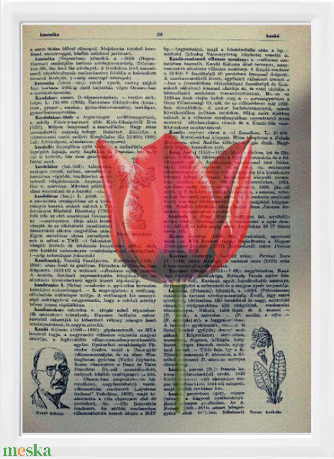 Tulipán kép lexikon lapon ajándék képkeretben A4 - otthon & életmód - dekoráció - kép & falikép - kép & falikép - Meska.hu Tulipán kép lexikon lapon ajándék képkeretben A4 - otthon & életmód - dekoráció - kép & falikép - kép & falikép - Meska.hu