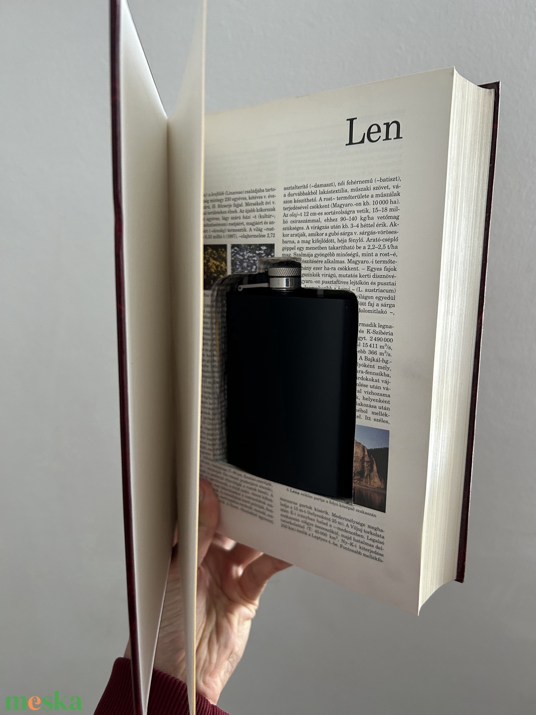 Laposüveg, könyvben, könyv, titkoskönyv, doboz - otthon & életmód - konyhafelszerelés, tálalás - flaska, csatos üveg - Meska.hu