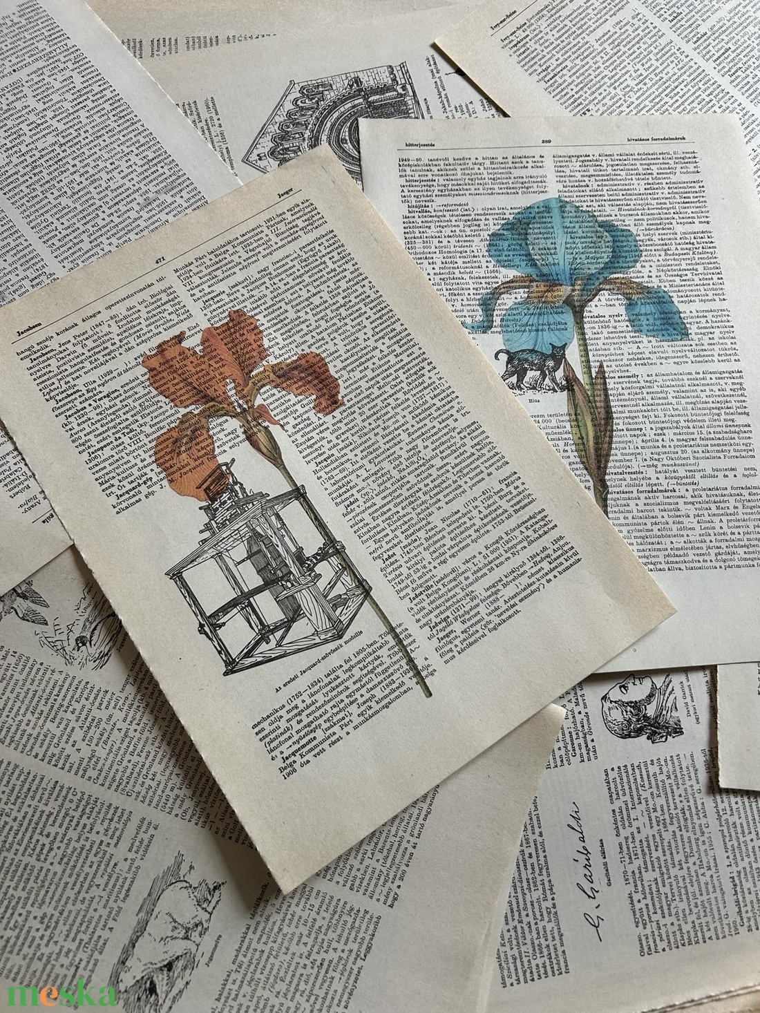 Virág, botanikus, nőszirom, kép, dekoráció, könyvlap, vintage - otthon & életmód - dekoráció - kép & falikép - poszter - Meska.hu