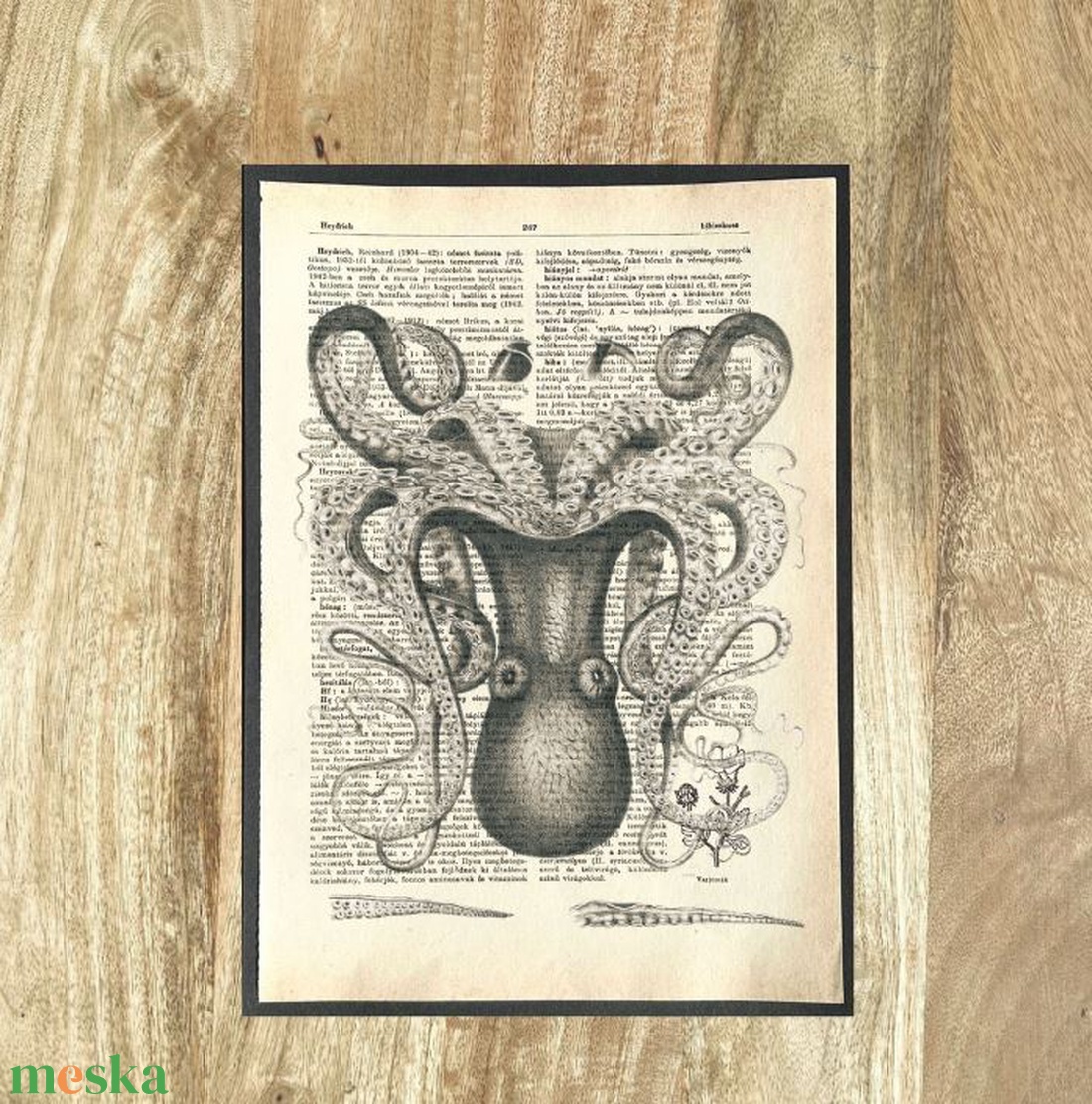 Polip, polipos, kép, könyv, könyvlap, lexikon lapon, állat, tengeri - otthon & életmód - dekoráció - kép & falikép - poszter - Meska.hu