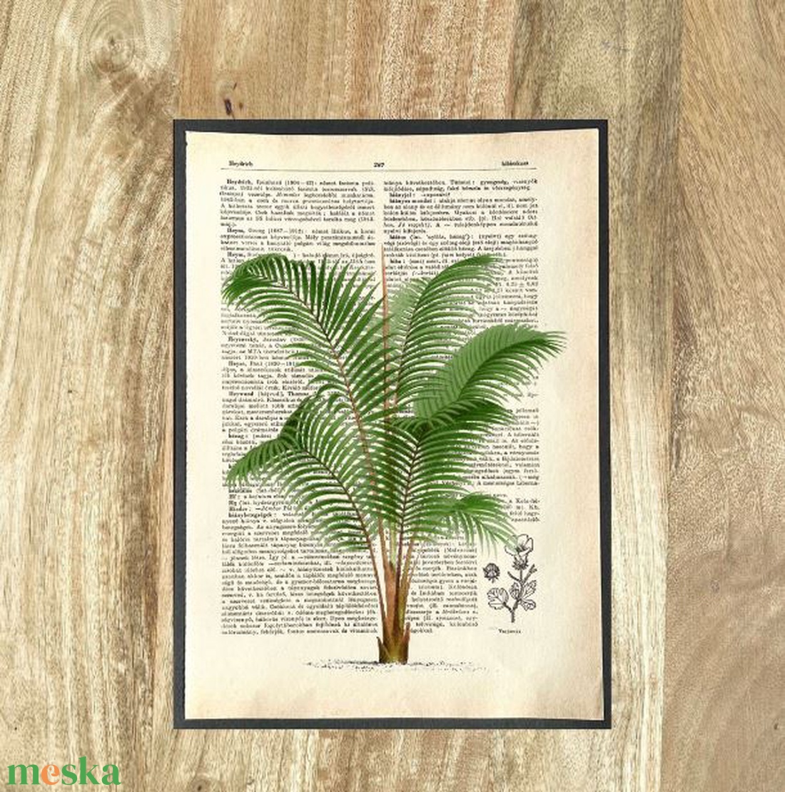 pálma, pálmafa, fa, zöld levél leveles, madár, kép, könyv, könyvlap, lexikon lapon - otthon & életmód - dekoráció - kép & falikép - poszter - Meska.hu