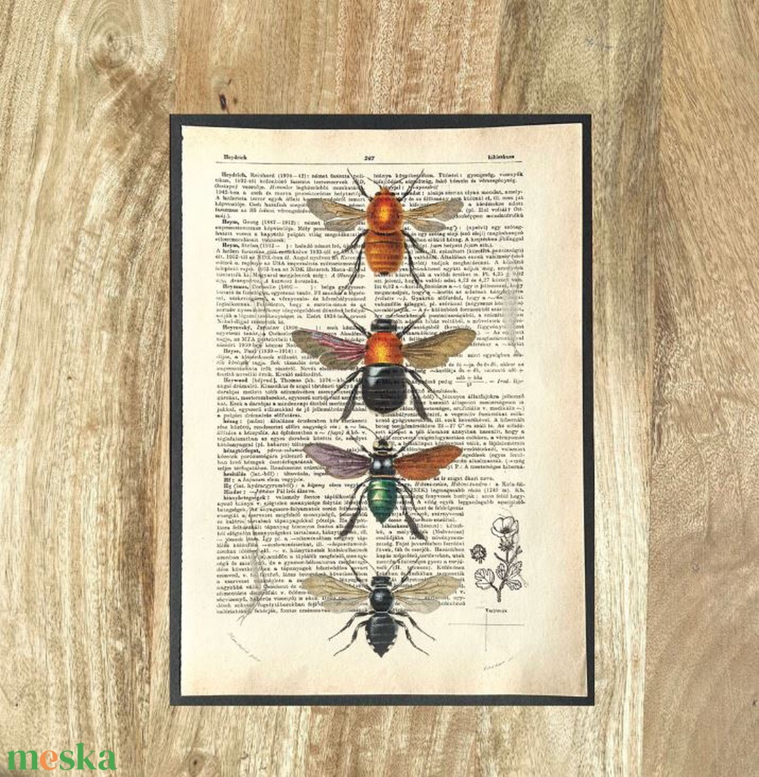 Bogarak bogaras, kép, könyv, könyvlap, lexikon lapon, nyomat, print - otthon & életmód - dekoráció - kép & falikép - poszter - Meska.hu Bogarak bogaras, kép, könyv, könyvlap, lexikon lapon, nyomat, print - otthon & életmód - dekoráció - kép & falikép - poszter - Meska.hu