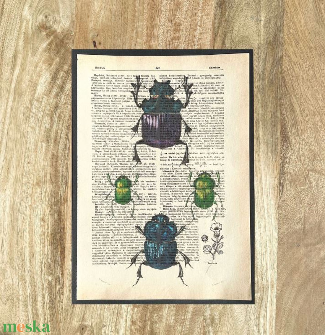 Bogarak bogaras, kép, könyv, könyvlap, lexikon lapon, nyomat, print - otthon & életmód - dekoráció - kép & falikép - poszter - Meska.hu