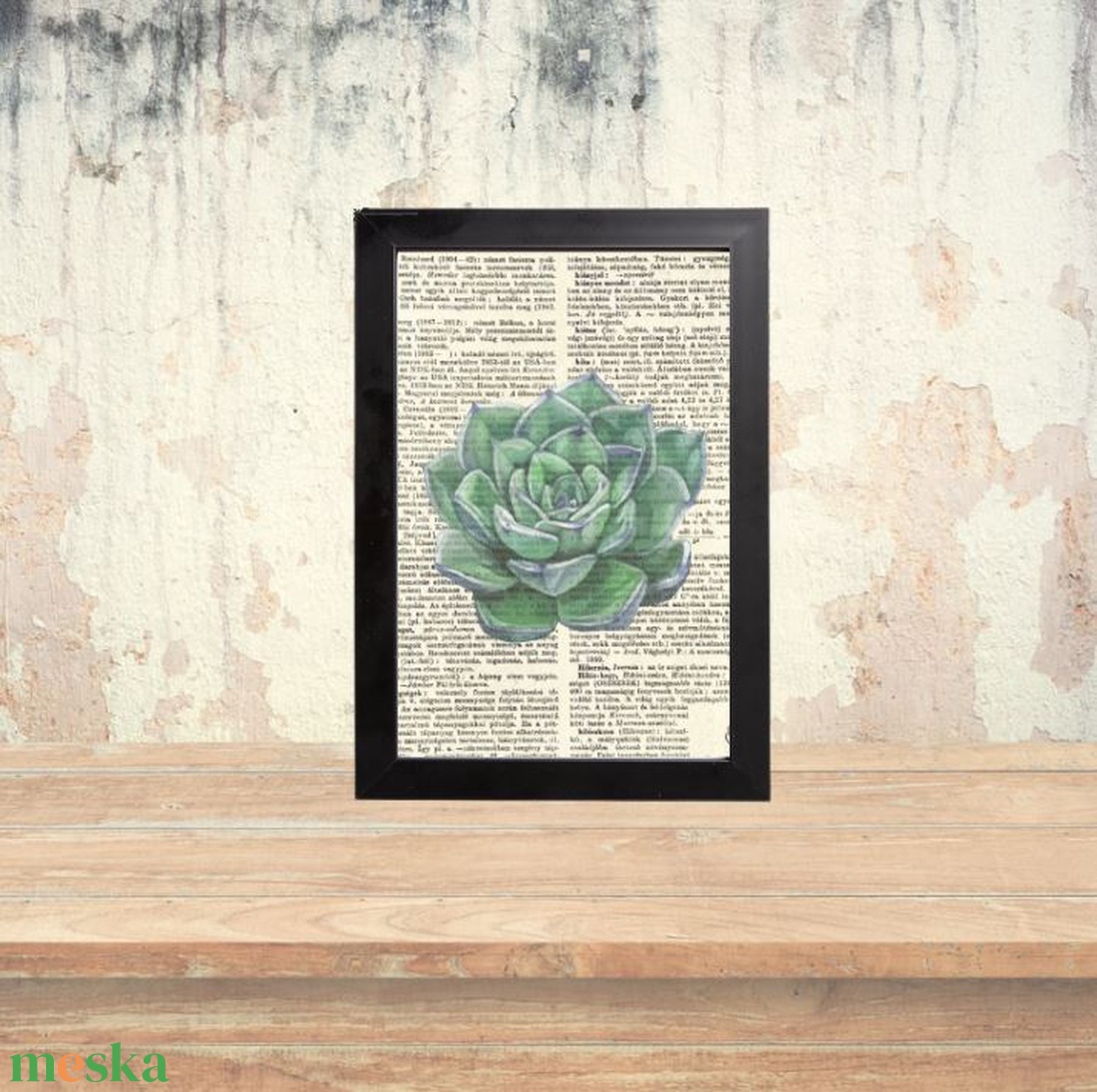 Kövirózsa, pozsgás, kép, könyv, könyvlap, lexikon lapon ajándék képkeretben - otthon & életmód - dekoráció - kép & falikép - poszter - Meska.hu