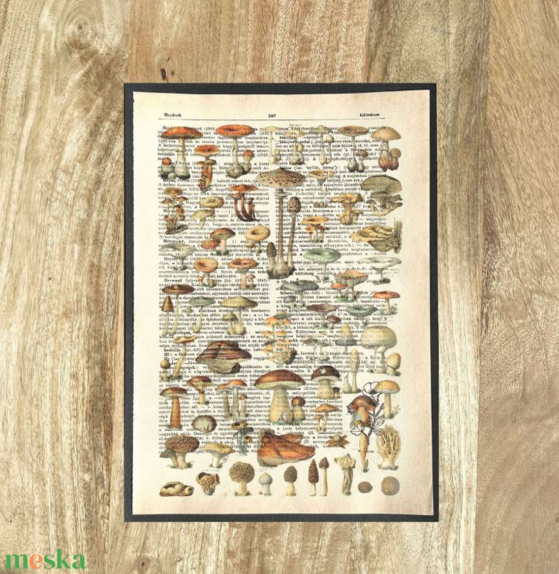 Gombák, gombás, kép, könyv, könyvlap, lexikon lapon - otthon & életmód - dekoráció - kép & falikép - poszter - Meska.hu