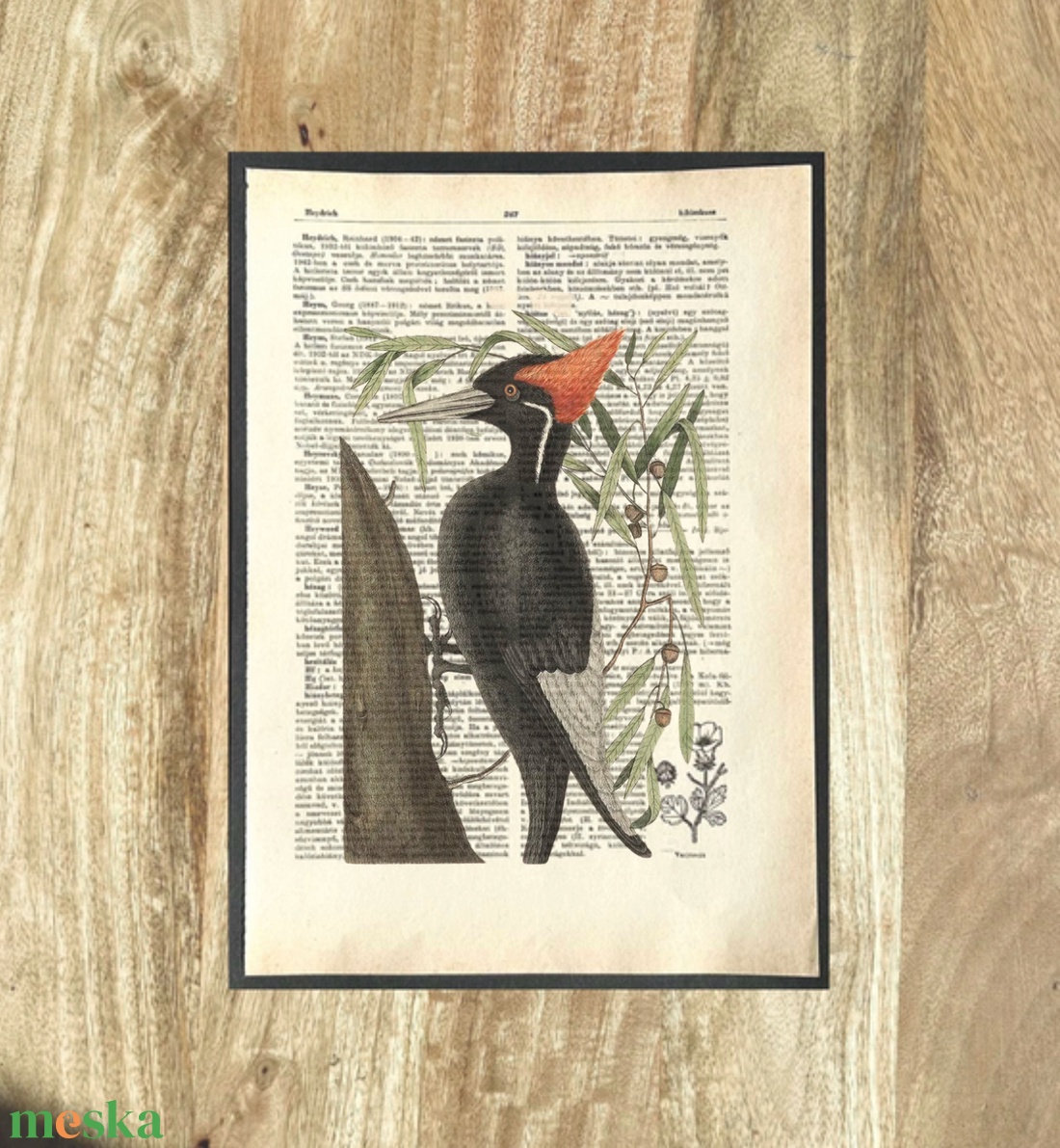 Harkály, kép, könyv, könyvlap, lexikon lapon - otthon & életmód - dekoráció - kép & falikép - poszter - Meska.hu